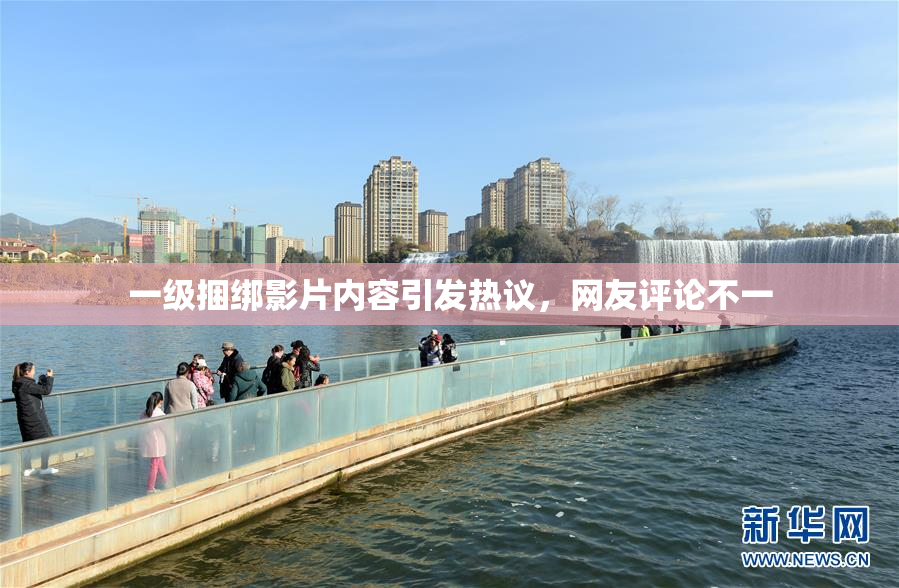 一级捆绑影片内容引发热议，网友评论不一