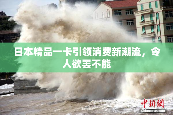 日本精品一卡引领消费新潮流，令人欲罢不能