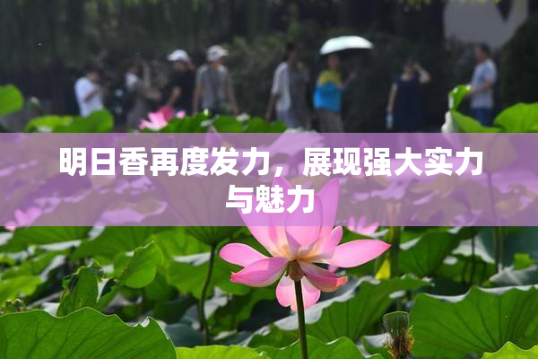 明日香再度发力，展现强大实力与魅力