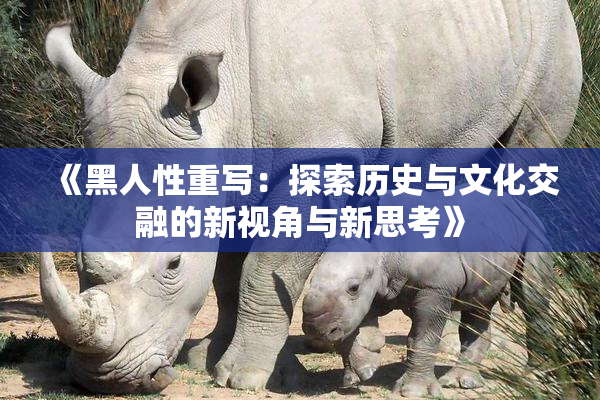 《黑人性重写：探索历史与文化交融的新视角与新思考》