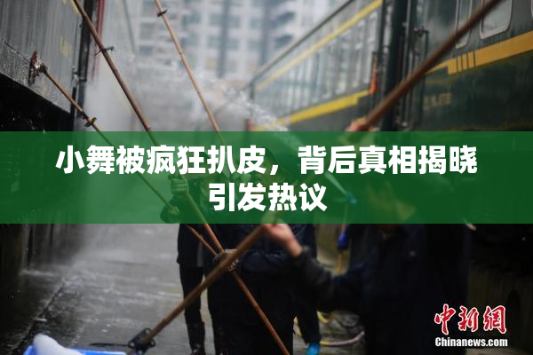 小舞被疯狂扒皮，背后真相揭晓引发热议