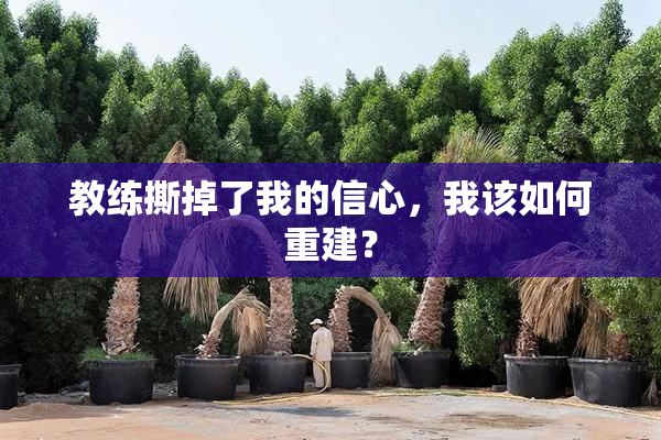 教练撕掉了我的信心，我该如何重建？
