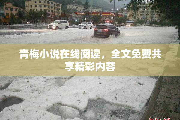 青梅小说在线阅读，全文免费共享精彩内容