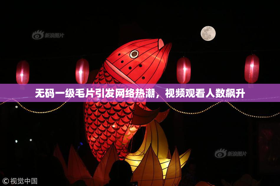 无码一级毛片引发网络热潮，视频观看人数飙升