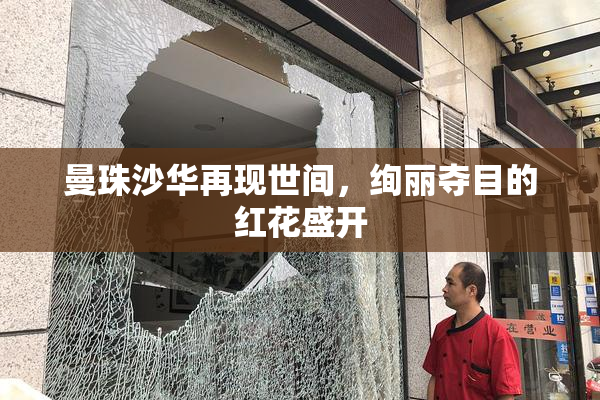 曼珠沙华再现世间，绚丽夺目的红花盛开