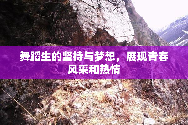 舞蹈生的坚持与梦想，展现青春风采和热情