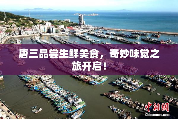 唐三品尝生鲜美食，奇妙味觉之旅开启！