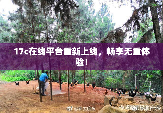 17c在线平台重新上线，畅享无重体验！