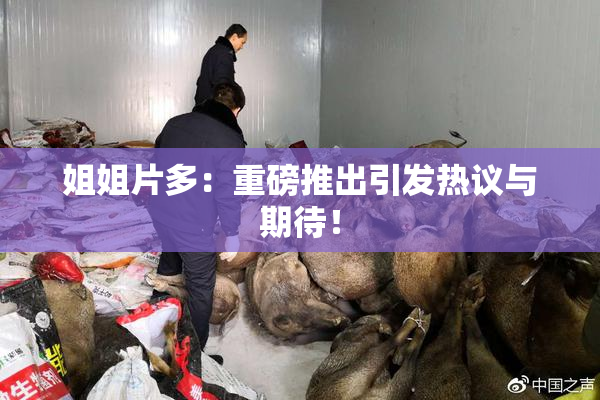 姐姐片多：重磅推出引发热议与期待！