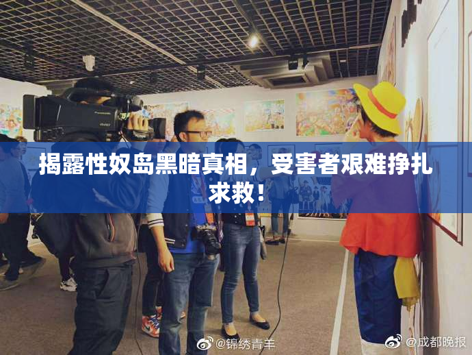 揭露性奴岛黑暗真相，受害者艰难挣扎求救！