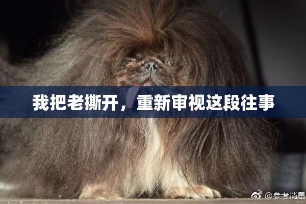 我把老撕开，重新审视这段往事