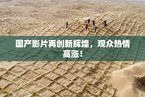 国产影片再创新辉煌，观众热情高涨！