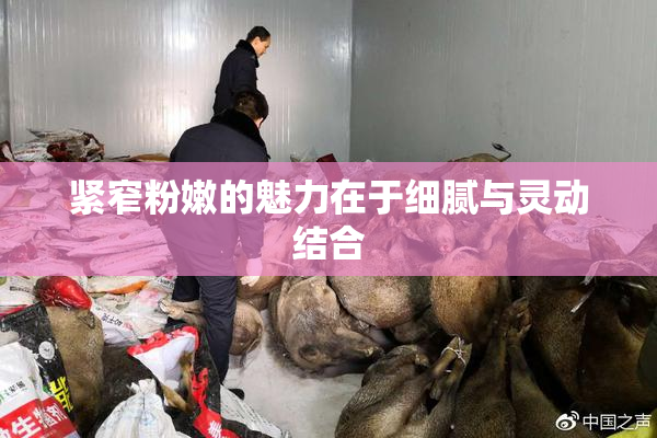 紧窄粉嫩的魅力在于细腻与灵动结合