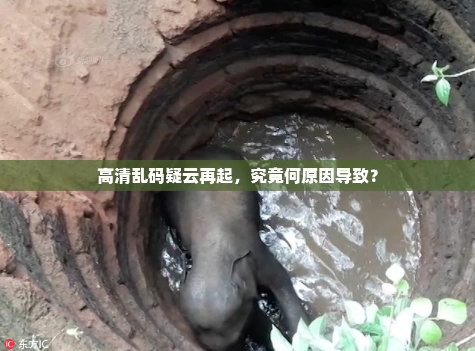 高清乱码疑云再起，究竟何原因导致？