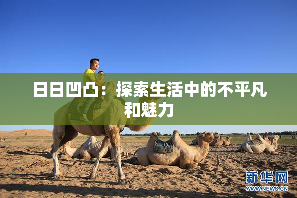 日日凹凸：探索生活中的不平凡和魅力