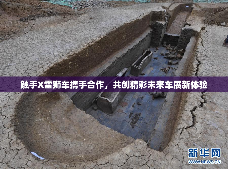 触手X雷狮车携手合作，共创精彩未来车展新体验