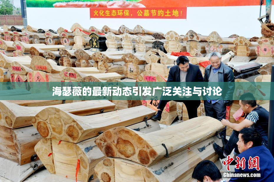 海瑟薇的最新动态引发广泛关注与讨论