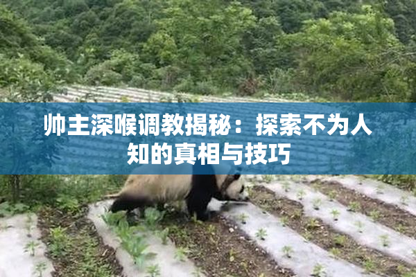 帅主深喉调教揭秘：探索不为人知的真相与技巧