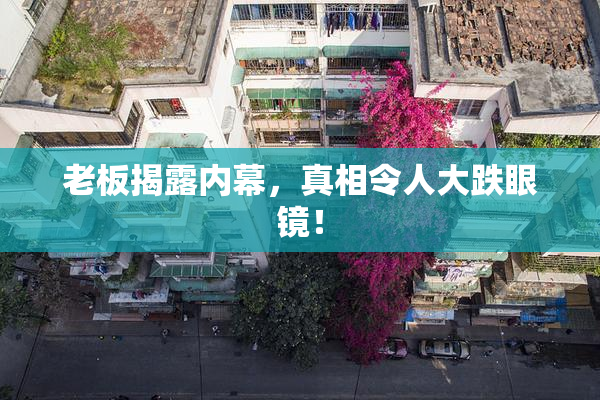 老板揭露内幕，真相令人大跌眼镜！