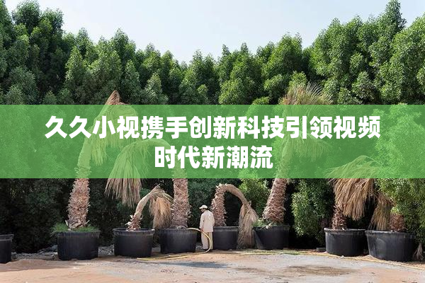 久久小视携手创新科技引领视频时代新潮流