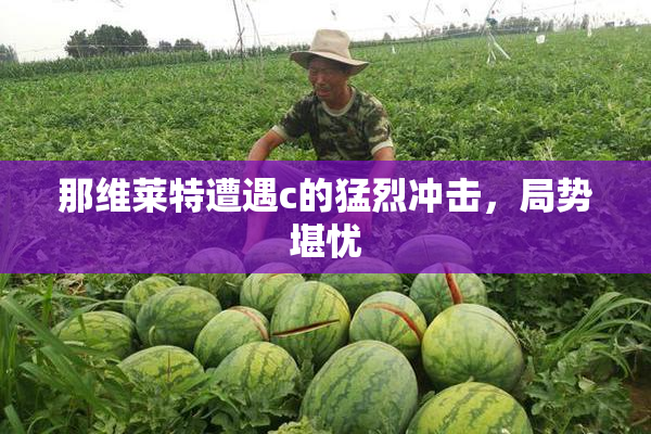 那维莱特遭遇c的猛烈冲击，局势堪忧