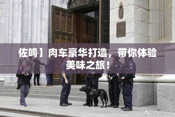 佐鸣】肉车豪华打造，带你体验美味之旅！