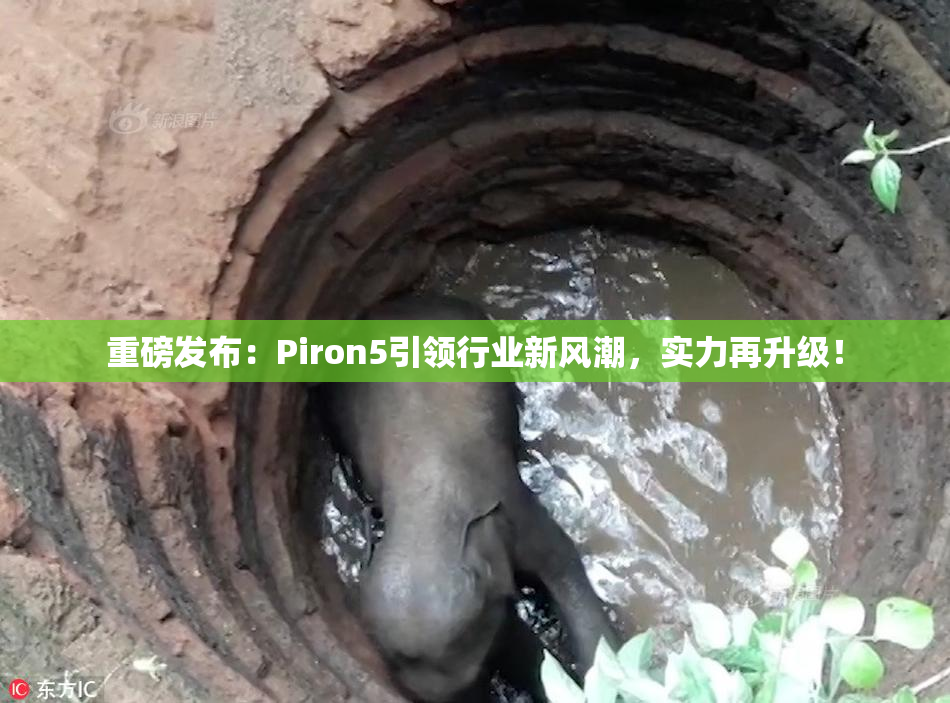 重磅发布：Piron5引领行业新风潮，实力再升级！