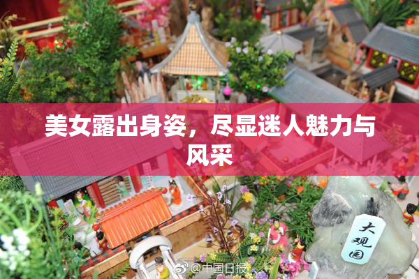 美女露出身姿，尽显迷人魅力与风采