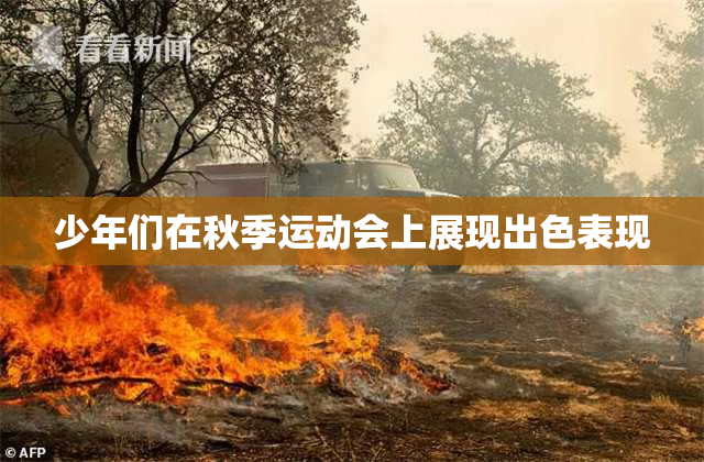 少年们在秋季运动会上展现出色表现