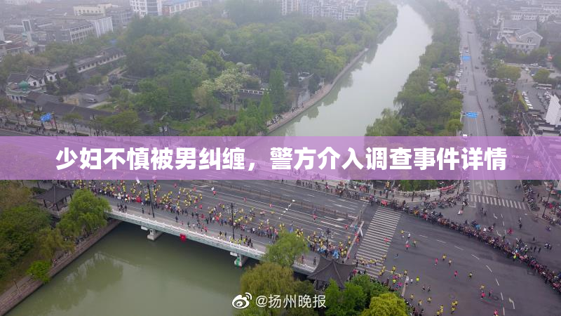 少妇不慎被男纠缠，警方介入调查事件详情