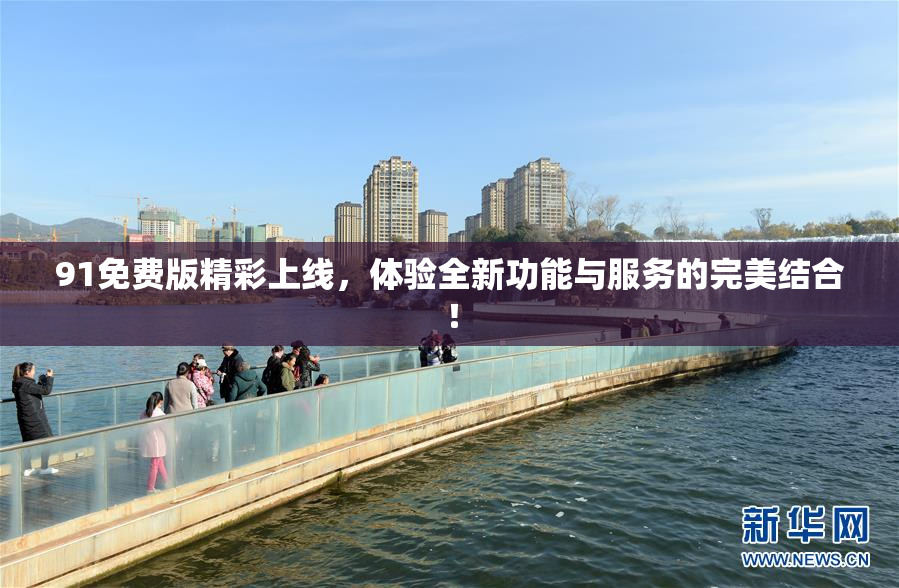 91免费版精彩上线，体验全新功能与服务的完美结合！