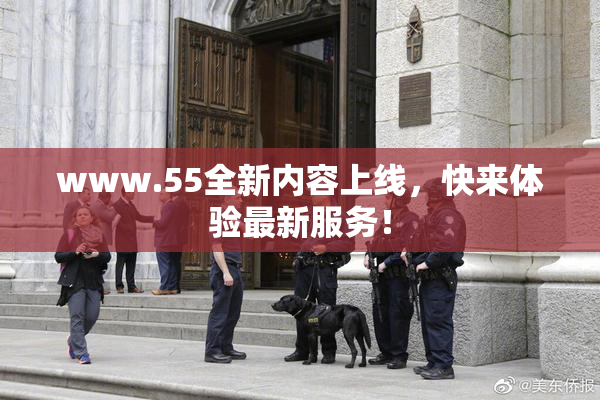 www.55全新内容上线，快来体验最新服务！