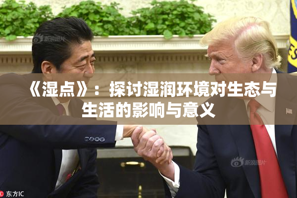 《湿点》：探讨湿润环境对生态与生活的影响与意义