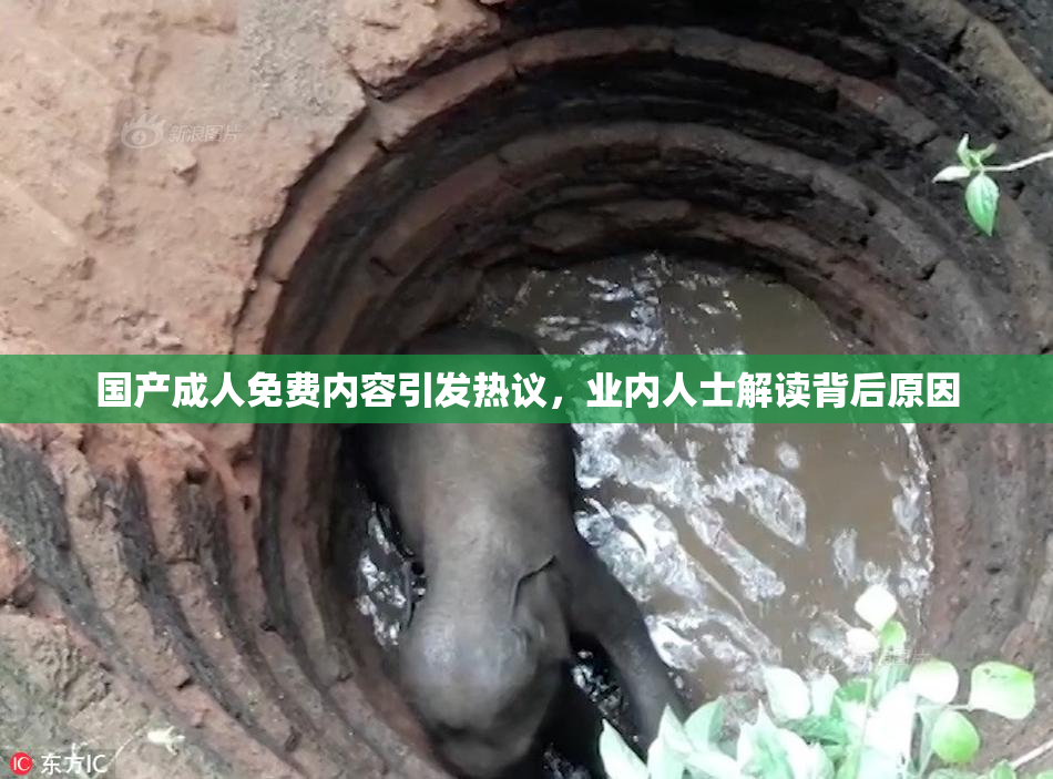 国产成人免费内容引发热议，业内人士解读背后原因