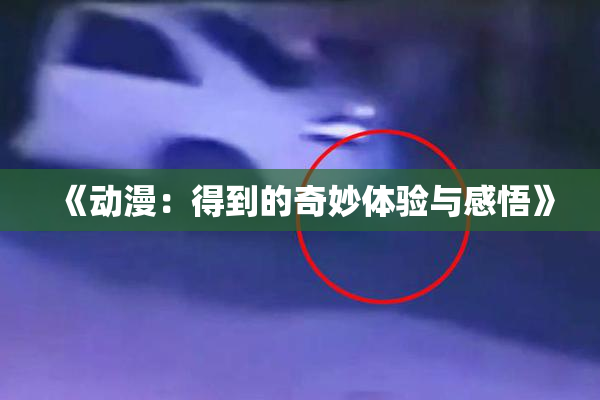 《动漫：得到的奇妙体验与感悟》