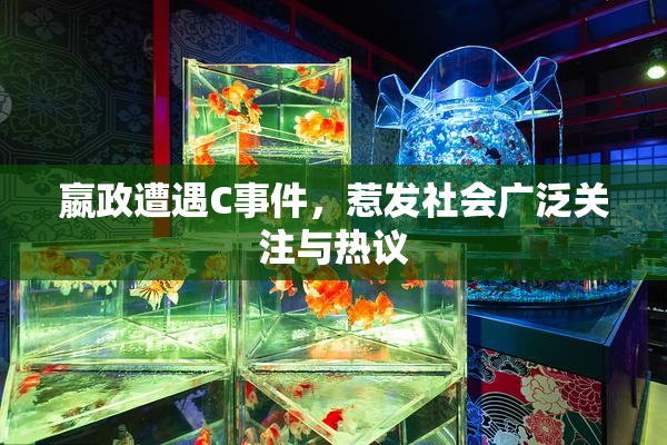 嬴政遭遇C事件，惹发社会广泛关注与热议