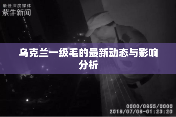 乌克兰一级毛的最新动态与影响分析