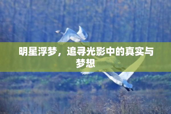 明星浮梦，追寻光影中的真实与梦想