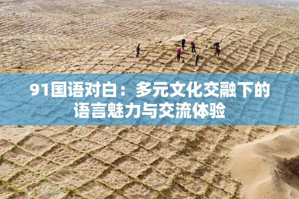 91国语对白：多元文化交融下的语言魅力与交流体验