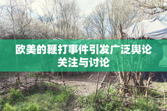欧美的鞭打事件引发广泛舆论关注与讨论