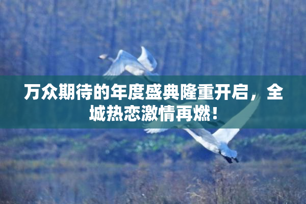 万众期待的年度盛典隆重开启，全城热恋激情再燃！
