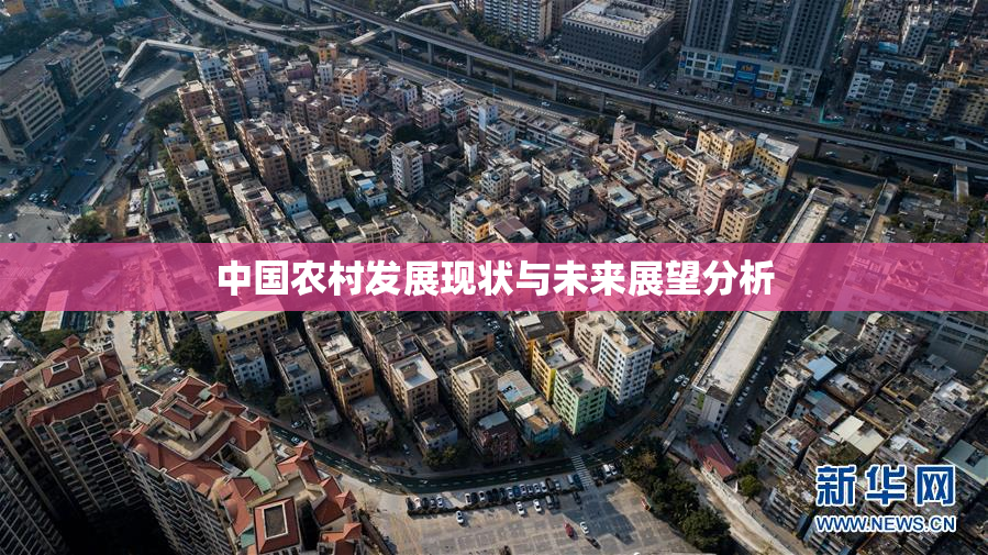 中国农村发展现状与未来展望分析