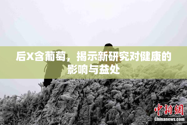 后X含葡萄，揭示新研究对健康的影响与益处
