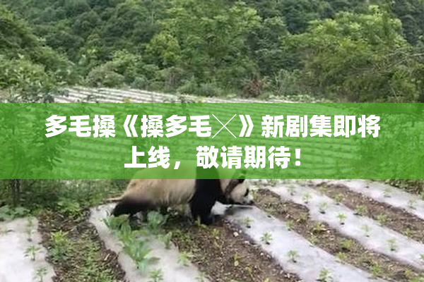 多毛搡《搡多毛╳》新剧集即将上线，敬请期待！