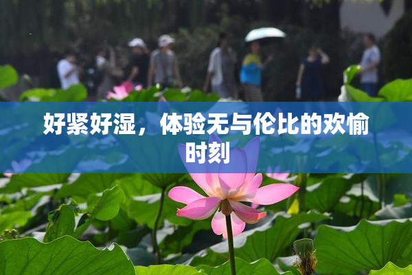 好紧好湿，体验无与伦比的欢愉时刻