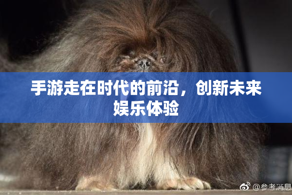 手游走在时代的前沿，创新未来娱乐体验