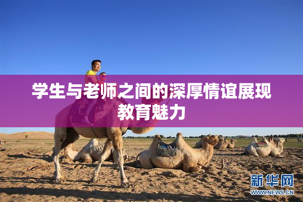 学生与老师之间的深厚情谊展现教育魅力