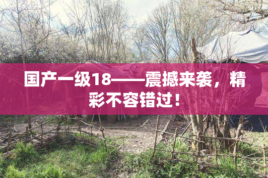 国产一级18——震撼来袭，精彩不容错过！