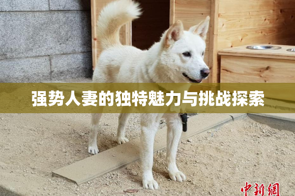 强势人妻的独特魅力与挑战探索