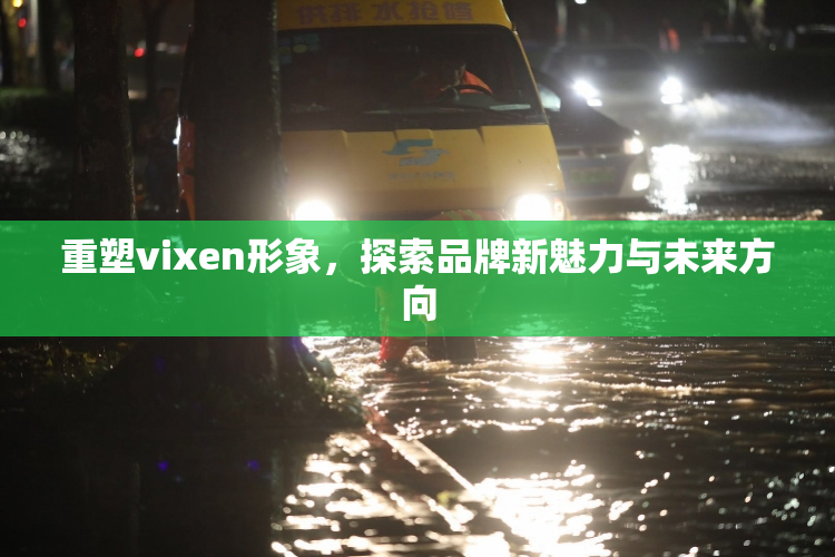 重塑vixen形象，探索品牌新魅力与未来方向
